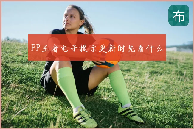 PP王者电子提示更新时先看什么