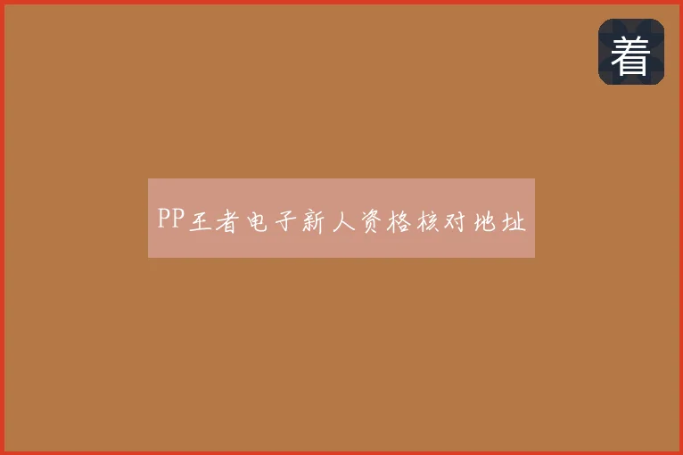 PP王者电子新人资格核对地址